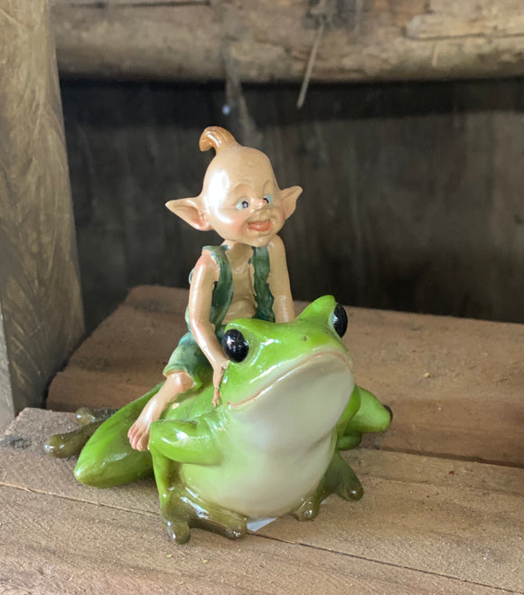 Elvin Riding a Frog